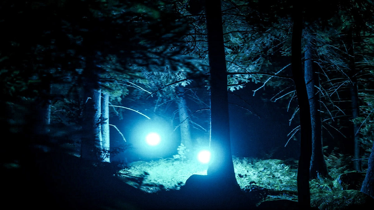 They Are Here Alien Abduction Horror PS5