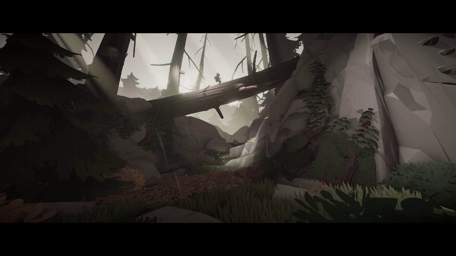 Deer & Boy Nintendo Switch