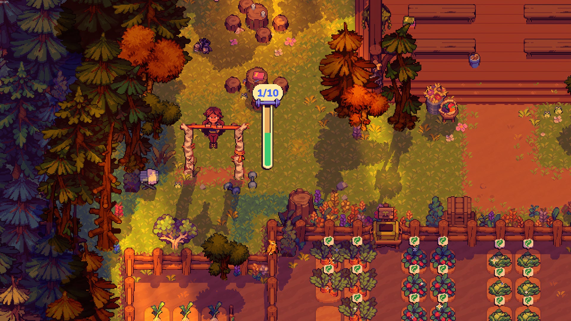 FARMING CAMP Nintendo Switch