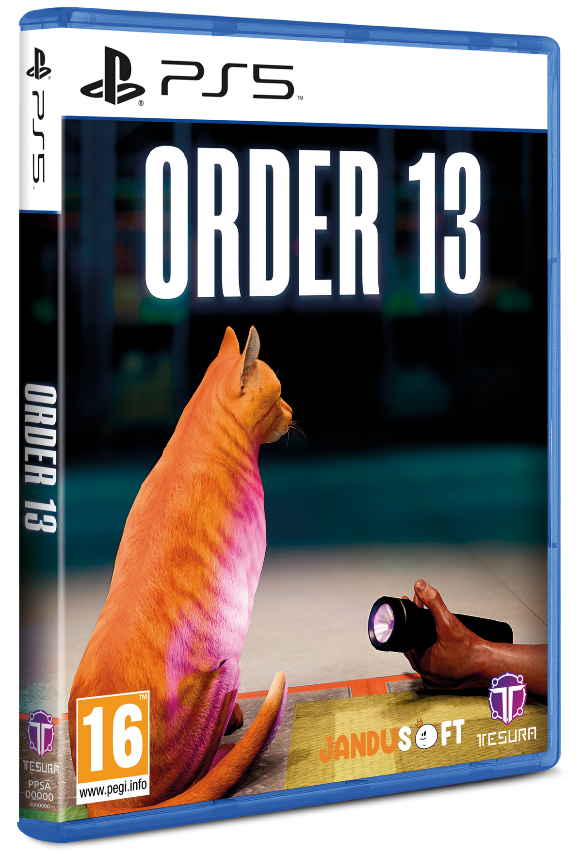 Order 13 PS5