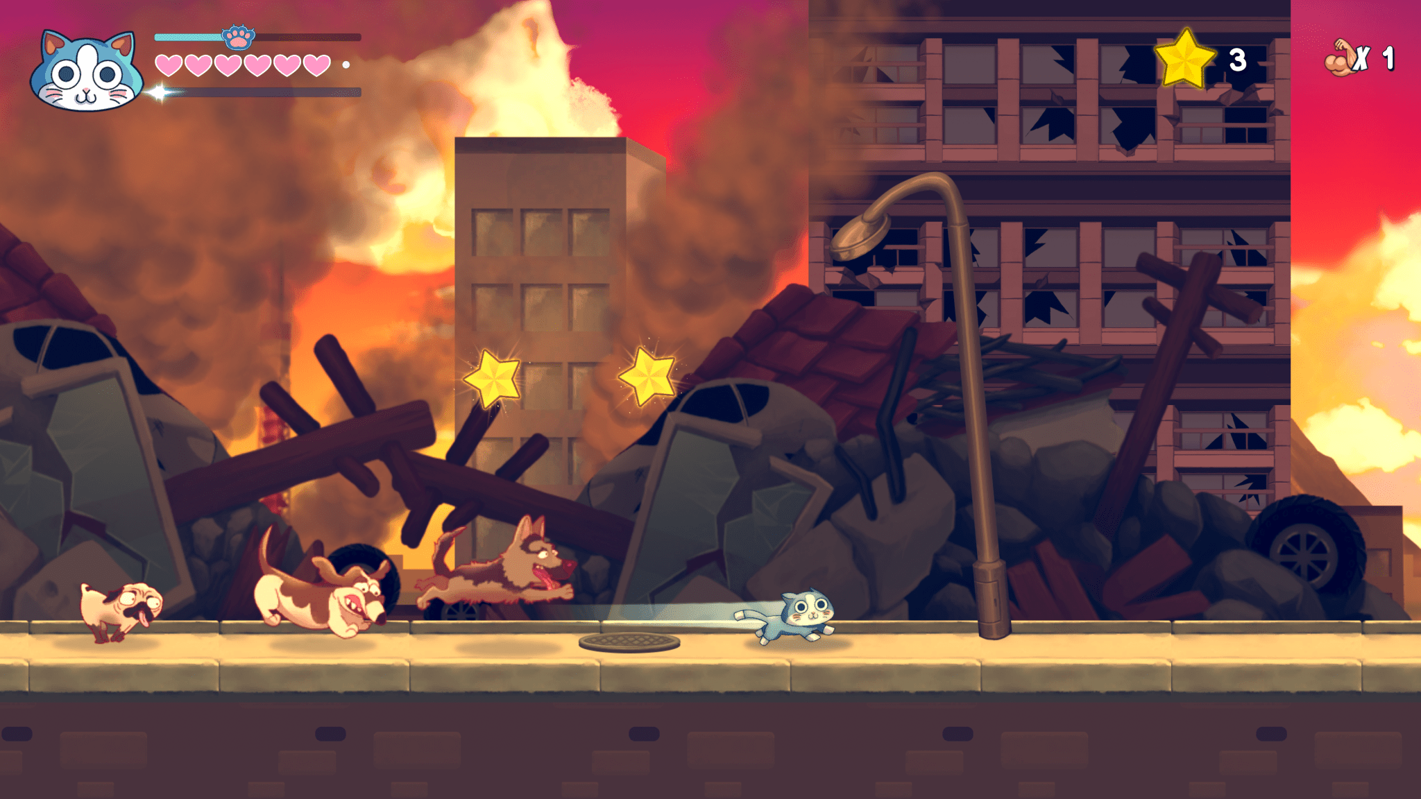 KinnikuNeko Super Muscle Cat Purrrrfect Edition PS5 - Jeux Vidéo Physique - TESURA - Shop Just for Games