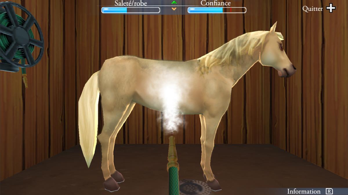 Ma vie avec Les Chevaux 2 Switch - Jeux Vidéo Physique - MINDSCAPE - Shop Just for Games