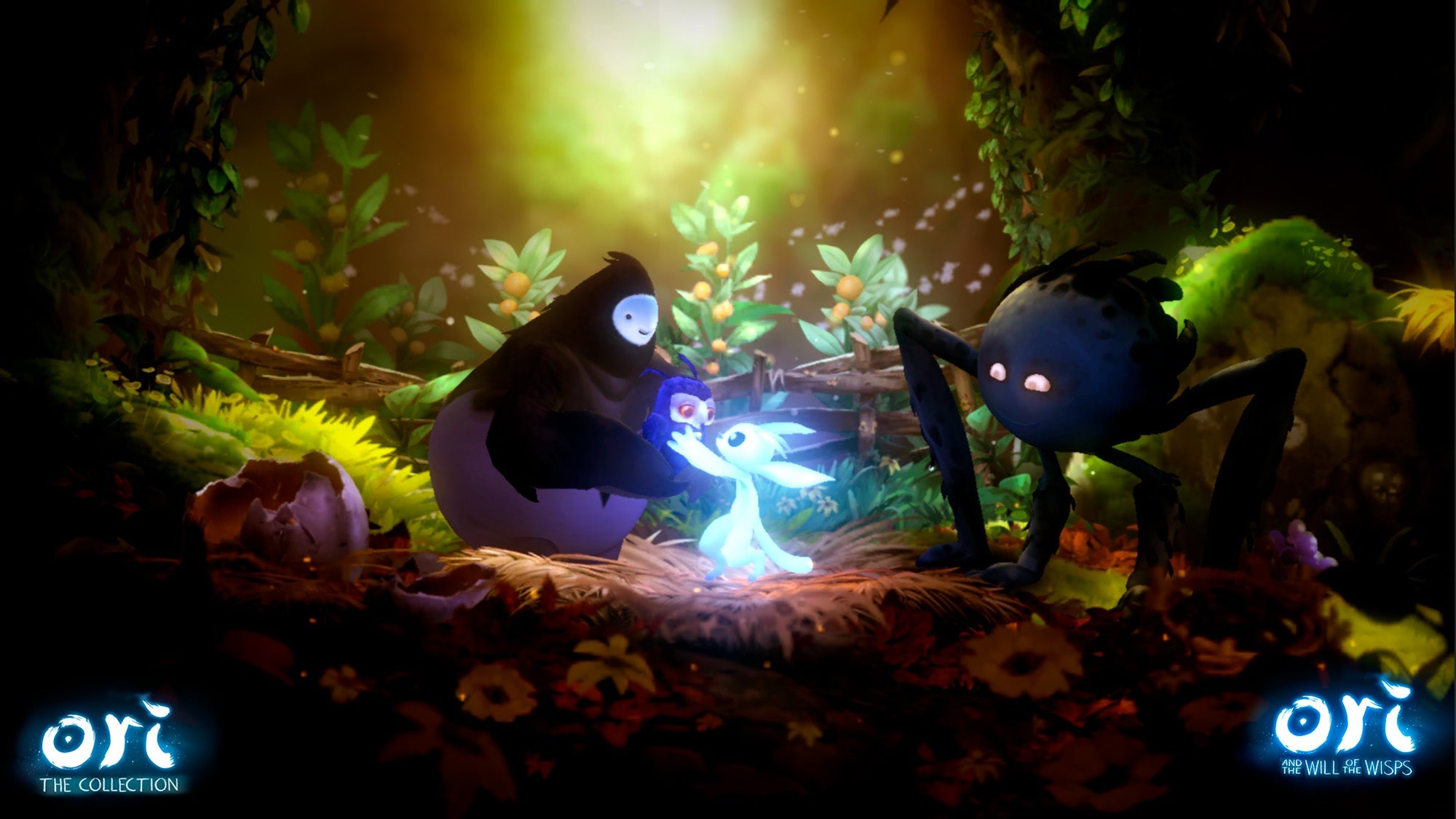 Ori The Collection Nintendo Switch - Jeux Vidéo Physique - UIE - Shop Just for Games