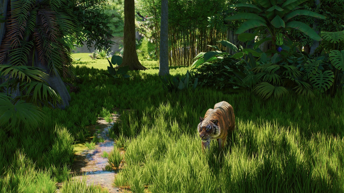 Planet Zoo 2 Xbox Series X - Jeux Vidéo Physique - Fireshine - Shop Just for Games
