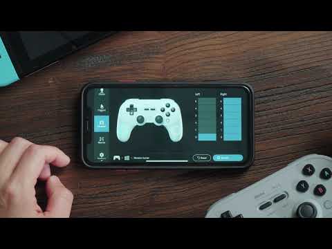 8BitDo PRO 2 Gamepad Hall Effect - G Classic New Edition