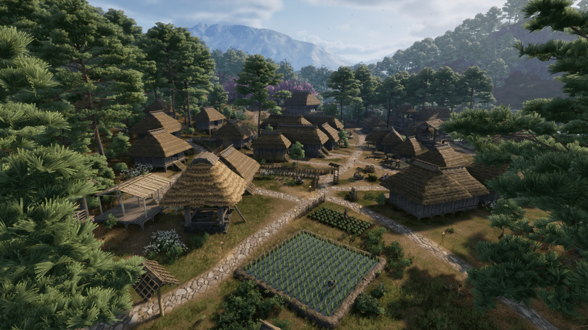 Sengoku Dynasty Ultimate Edition PS5 - Jeux Vidéo Physique - Funbox - Shop Just for Games