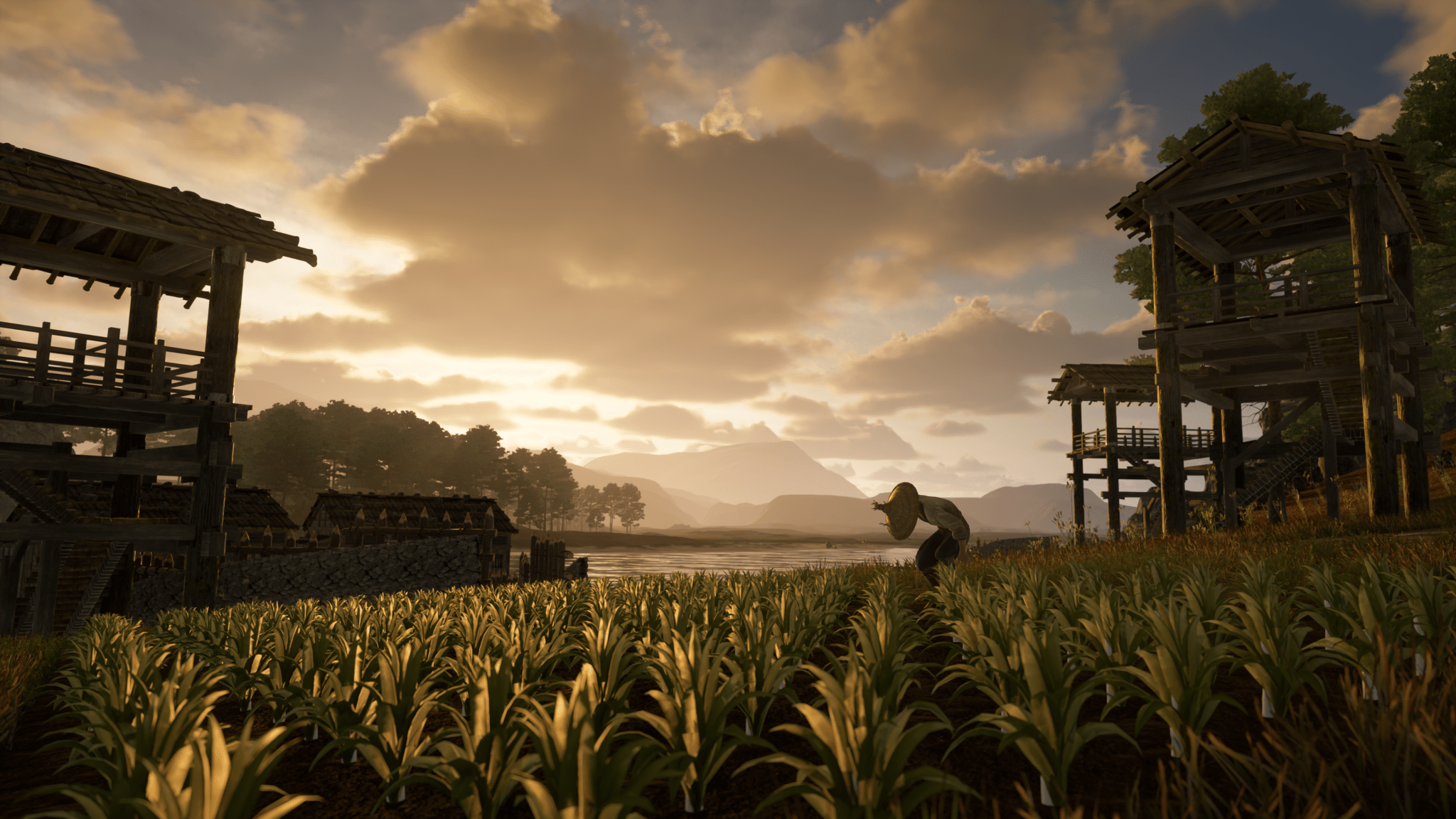 Sengoku Dynasty Ultimate Edition PS5 - Jeux Vidéo Physique - Funbox - Shop Just for Games