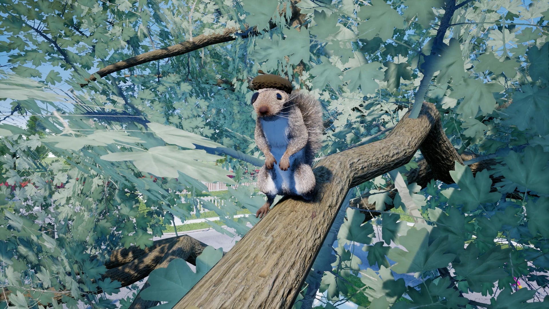 Squirrel With A Gun Switch 2 - Jeux Vidéo Physique - Maximum Entertainment - Shop Just for Games