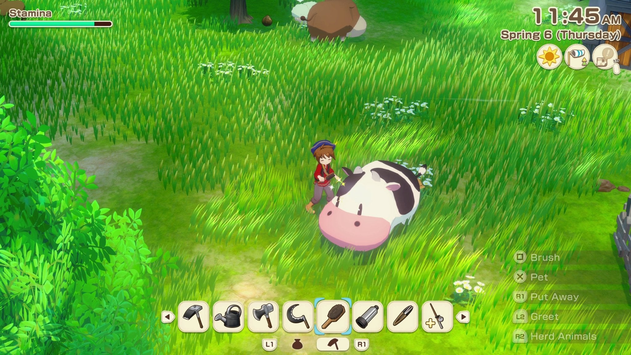 Story Of Seasons: Grand Bazaar PS5 - Jeux Vidéo Physique - MARVELOUS - Shop Just for Games
