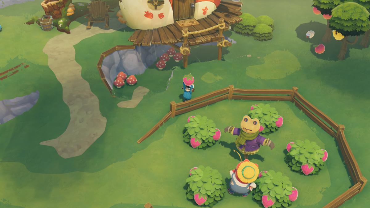 Time on Frog Island Xbox Series X / Xbox One - Jeux Vidéo Physique - MERGE - Shop Just for Games