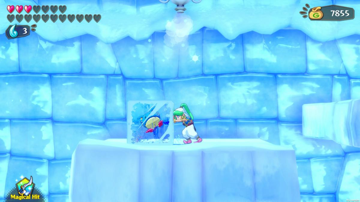 Wonder Boy Asha In Monster World SWITCH - Jeux Vidéo Physique - ININ - Shop Just for Games