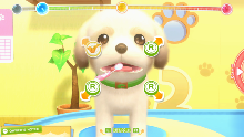 Pups & Purrs - Animal Hospital Nintendo Switch Import UK