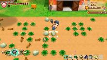Story of Seasons : Friends of Mineral Town PS4 + PELUCHE OFFERTE !