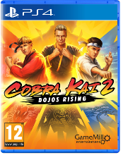 Cobra Kai 2 Dojos rising PS4