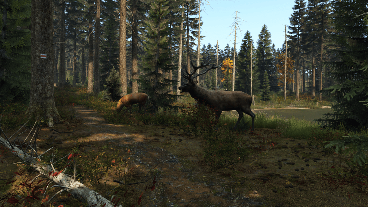DayZ PS4 - Jeux Vidéo Physique - Fireshine - Shop Just for Games