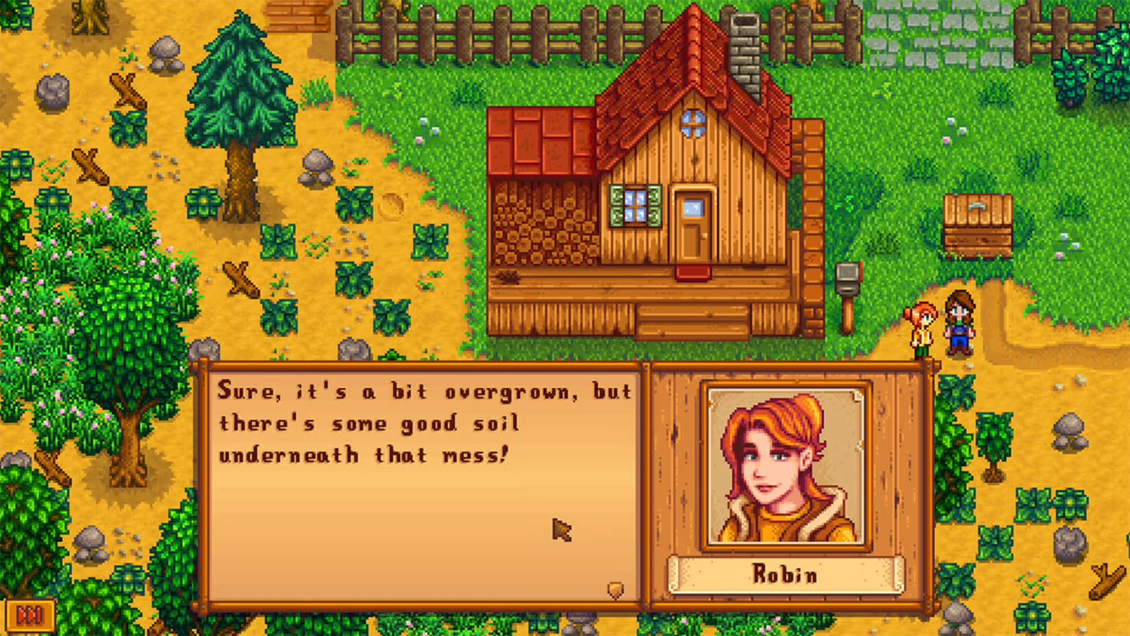 Stardew Valley Switch 2