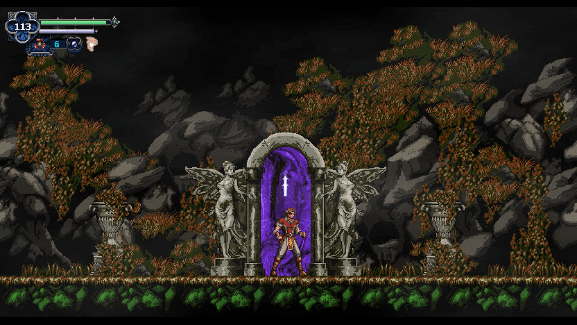 Chronicles of the Wolf Nintendo Switch