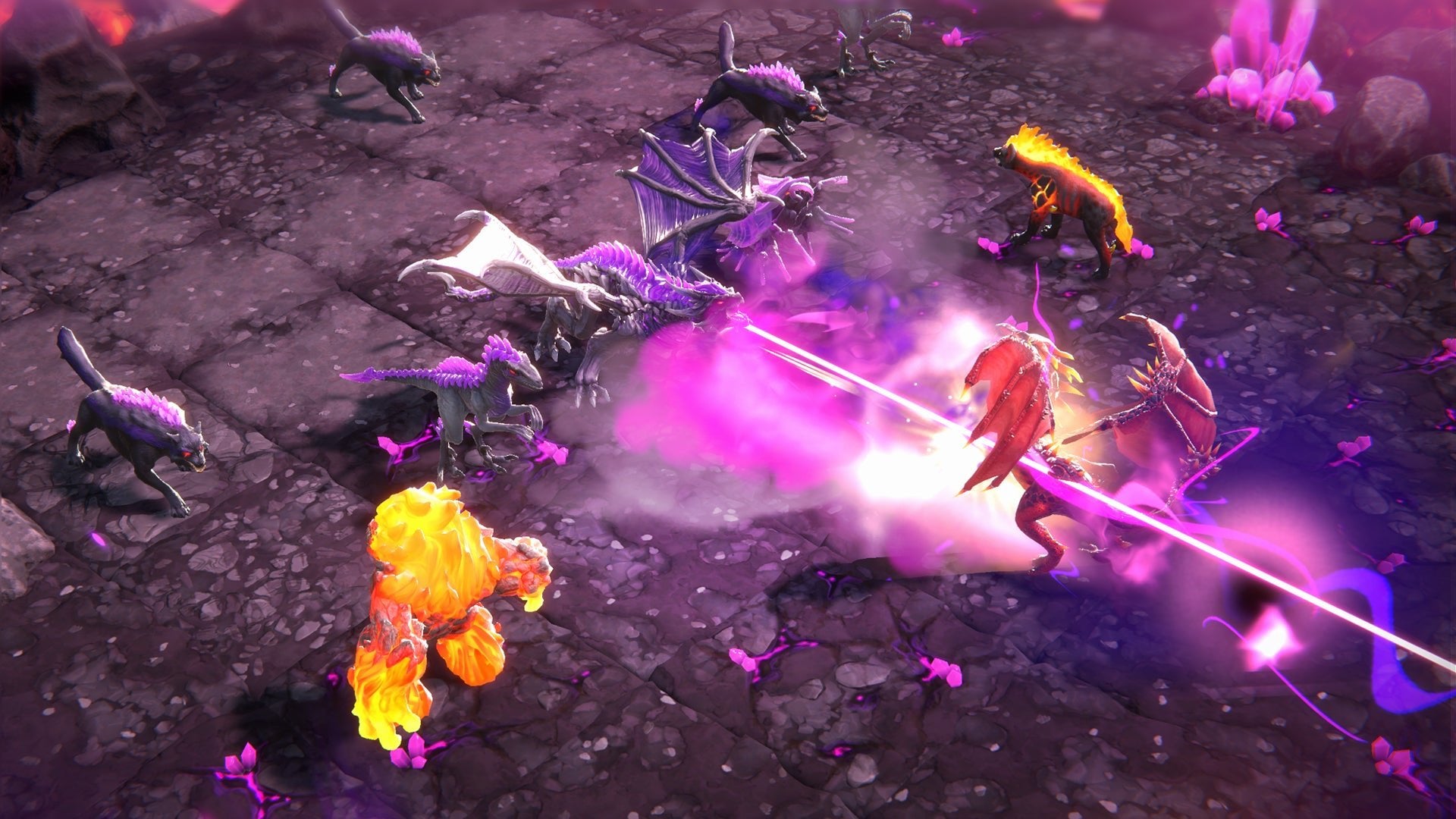 Eldrador Creatures Shadowfall Nintendo Switch - Jeux Vidéo Physique - Wild River - Shop Just for Games