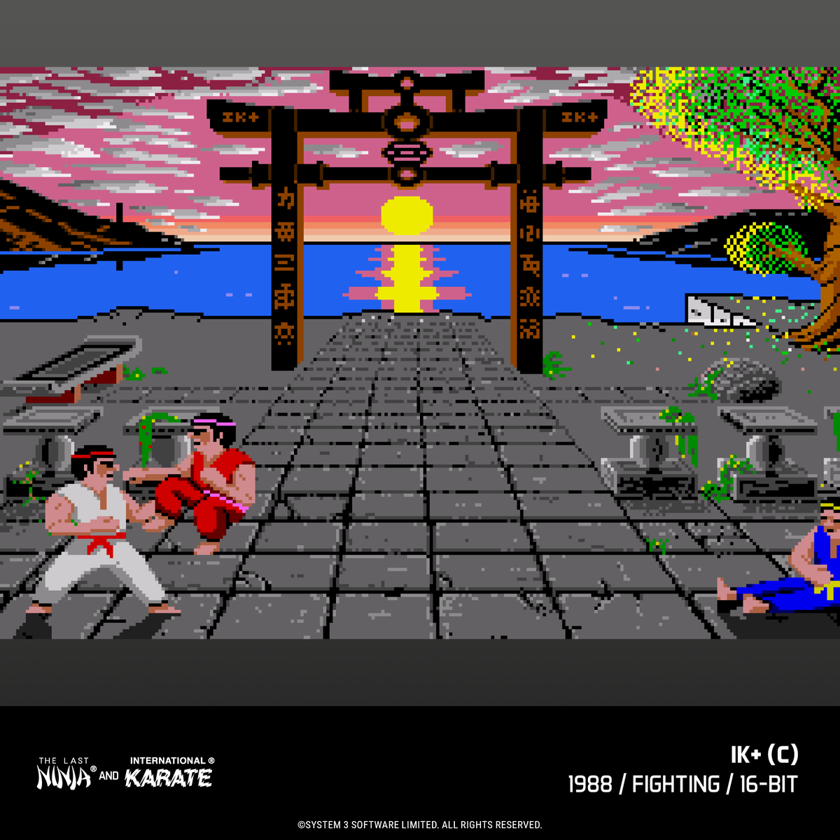 Blaze Evercade - The Last Ninja & International Karate Collection - Cartouche n°12