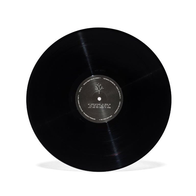 Kentucky Route Zero Vinyle 2LP - Vinyles - iam8bit - Shop Just for Games