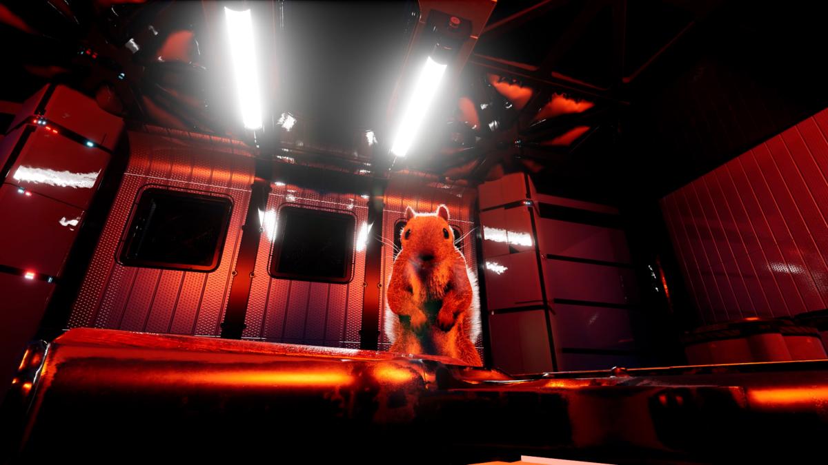 Squirrel With a Gun XBOX Series X - Jeux Vidéo Physique - Maximum Entertainment - Shop Just for Games