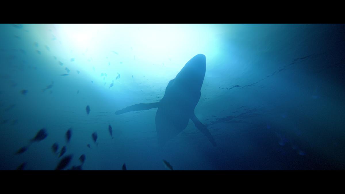 Under the Waves PS4 - Jeux Vidéo Physique - QUANTIC DREAM - Shop Just for Games