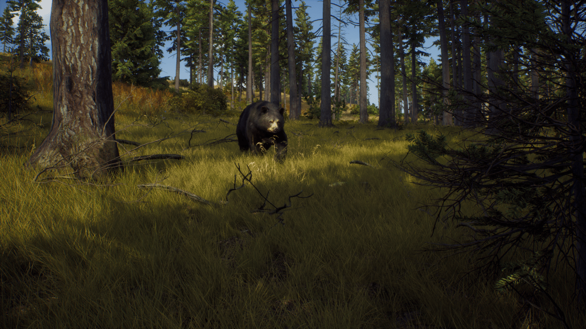 Way of the Hunter Xbox Series X - Jeux Vidéo Physique - THQ NORDIC GAMES - Shop Just for Games