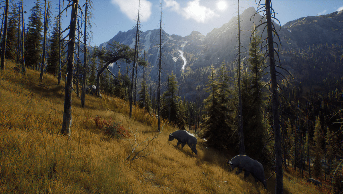 Way of the Hunter Xbox Series X - Jeux Vidéo Physique - THQ NORDIC GAMES - Shop Just for Games
