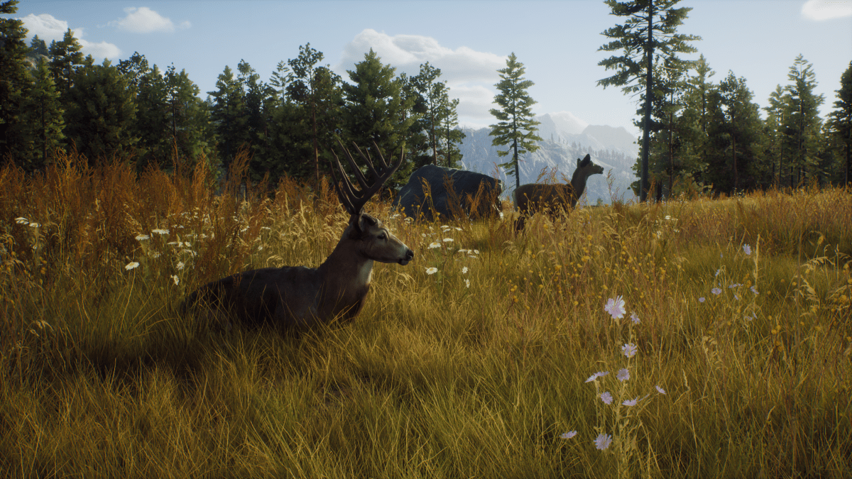 Way of the Hunter Xbox Series X - Jeux Vidéo Physique - THQ NORDIC GAMES - Shop Just for Games