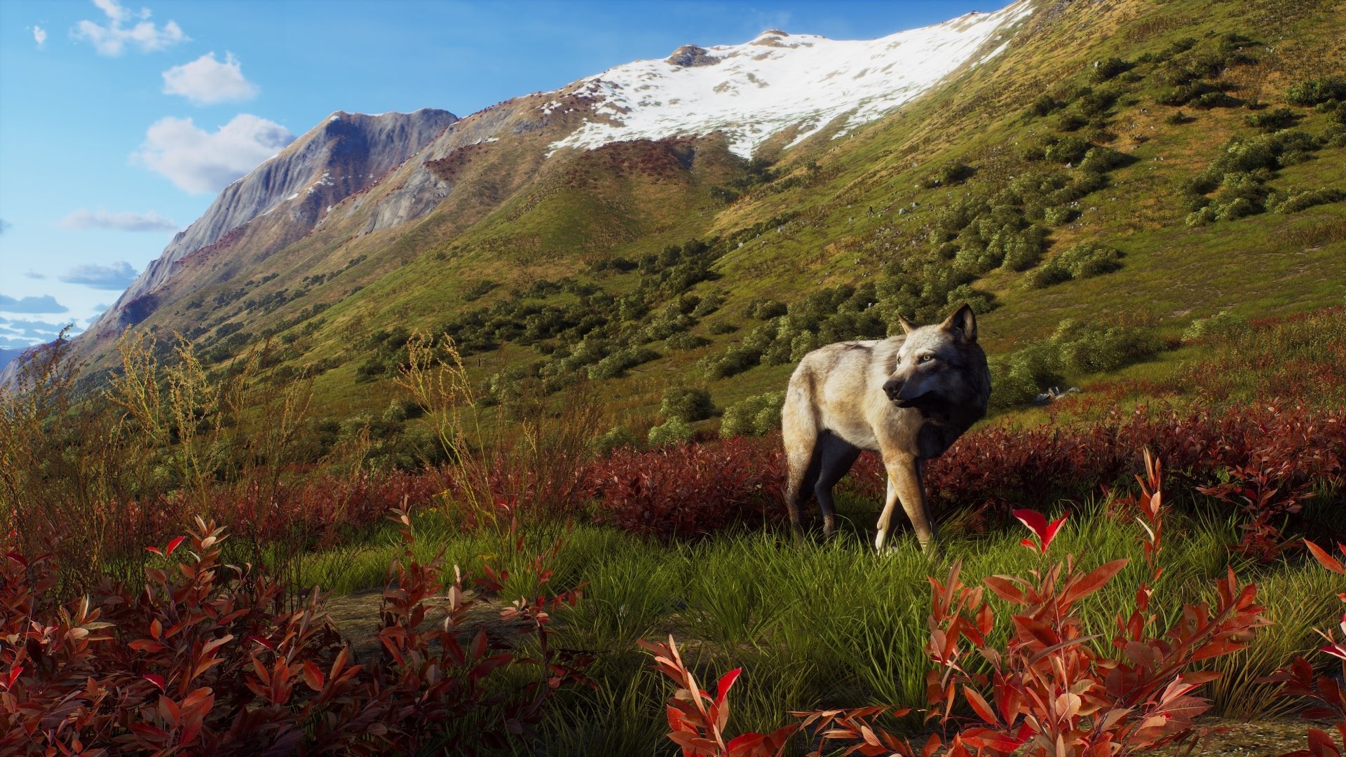 Way of the Hunter Wild Expeditions Xbox Series X - Jeux Vidéo Physique - THQ NORDIC GAMES - Shop Just for Games