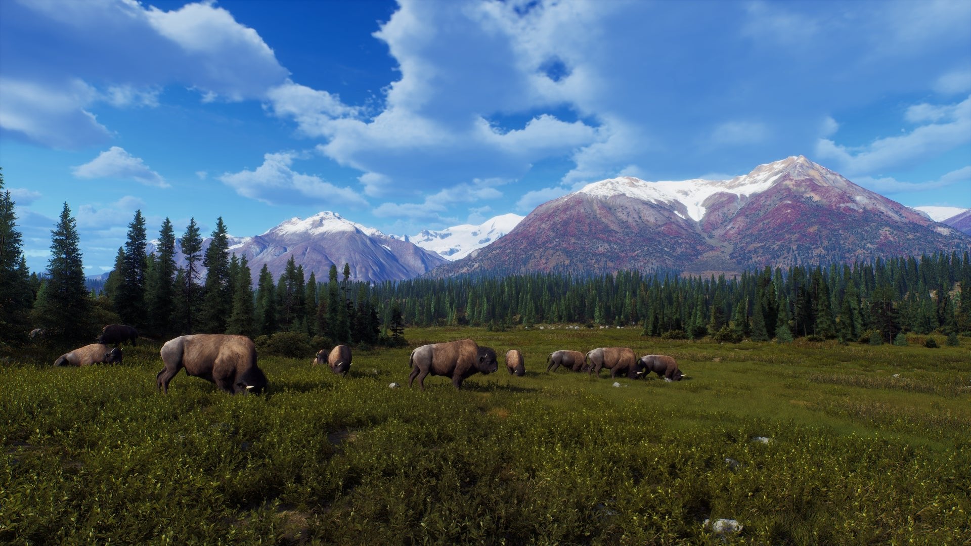 Way of the Hunter Wild Expeditions Xbox Series X - Jeux Vidéo Physique - THQ NORDIC GAMES - Shop Just for Games