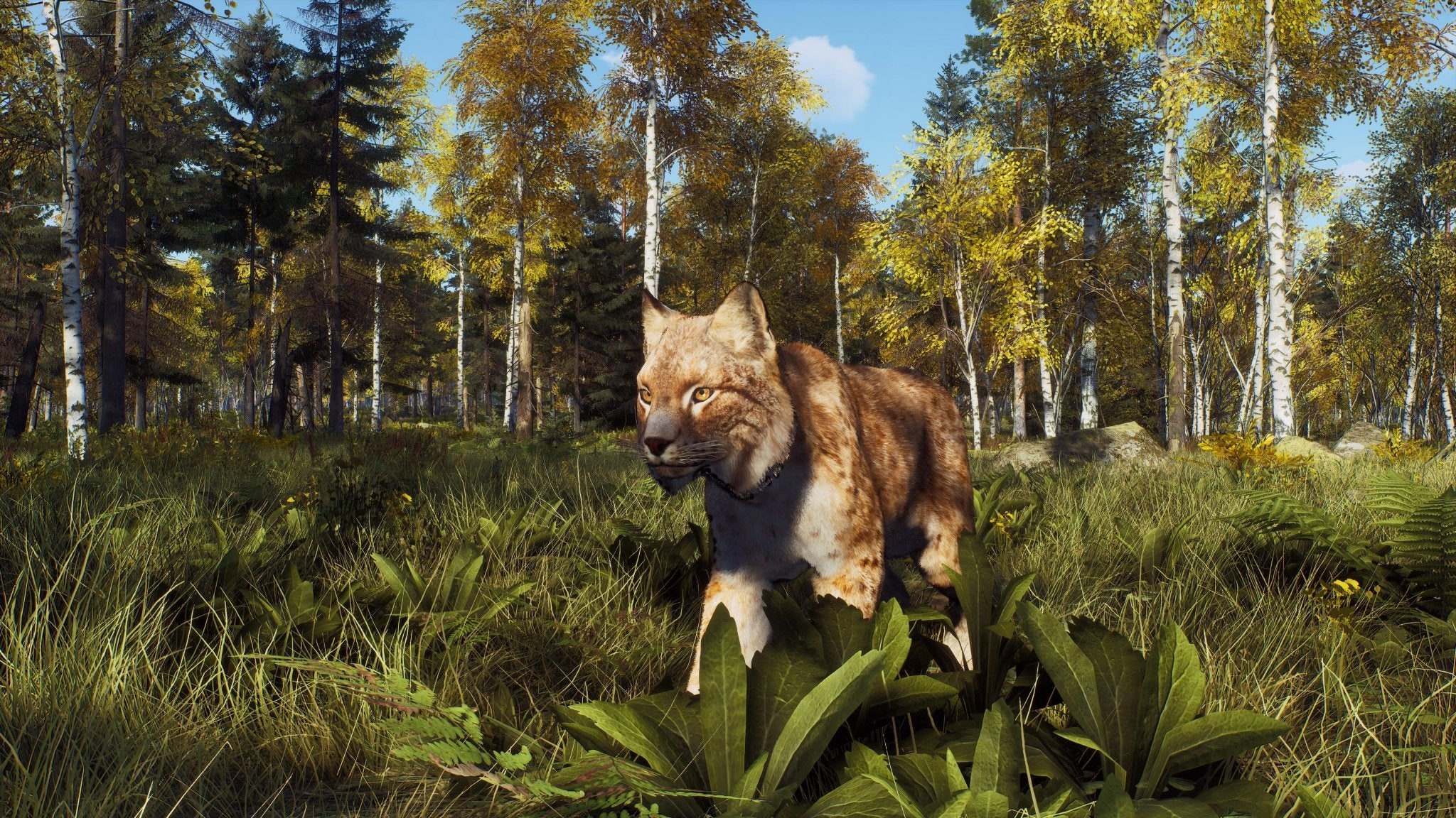 Way of the Hunter Wild Expeditions Xbox Series X - Jeux Vidéo Physique - THQ NORDIC GAMES - Shop Just for Games