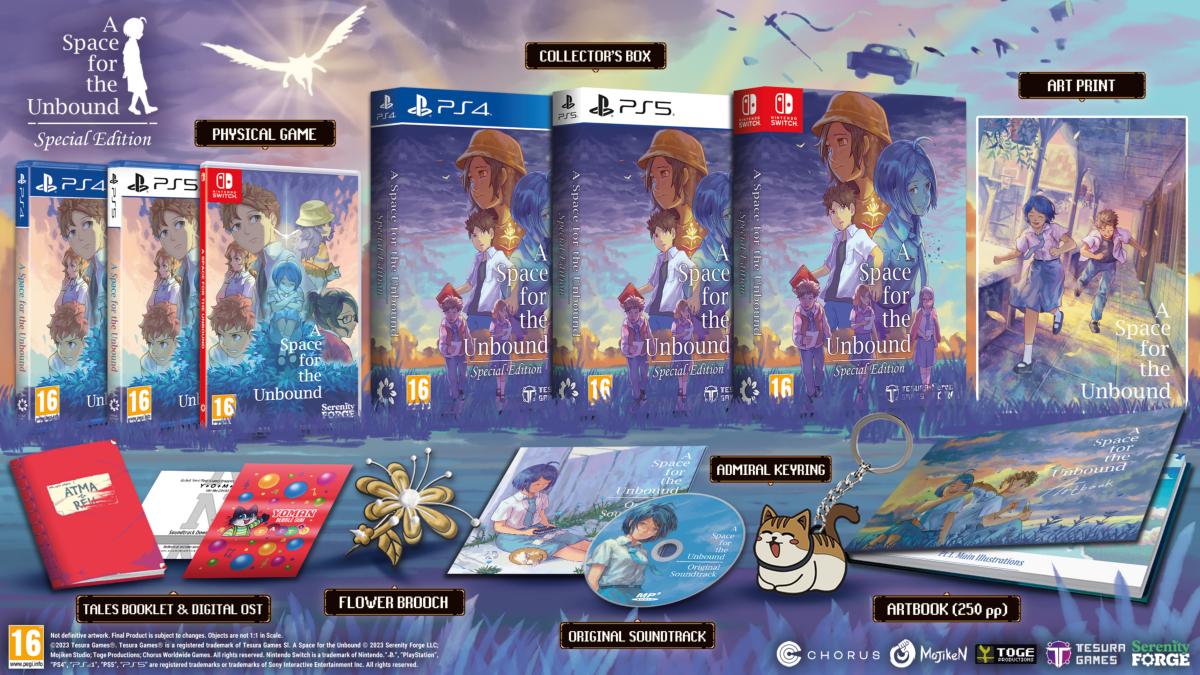 A Space for the Unbound Special Edition Nintendo SWITCH