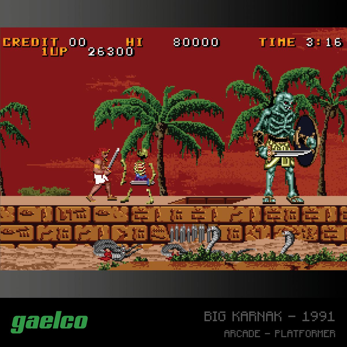 Blaze Evercade - Gaelco (Piko) Arcade Collection 2 - Cartouche Arcade n°6 - Jeux Rétro - Evercade - Shop Just for Games
