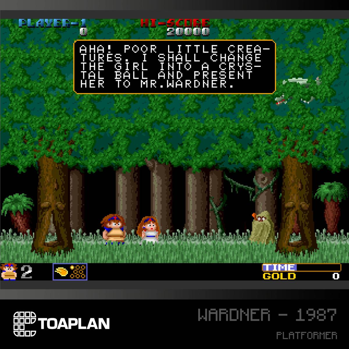 Blaze Evercade - Toaplan Collection 2 - Cartouche Arcade n° 09 - Jeux Rétro - Evercade - Shop Just for Games