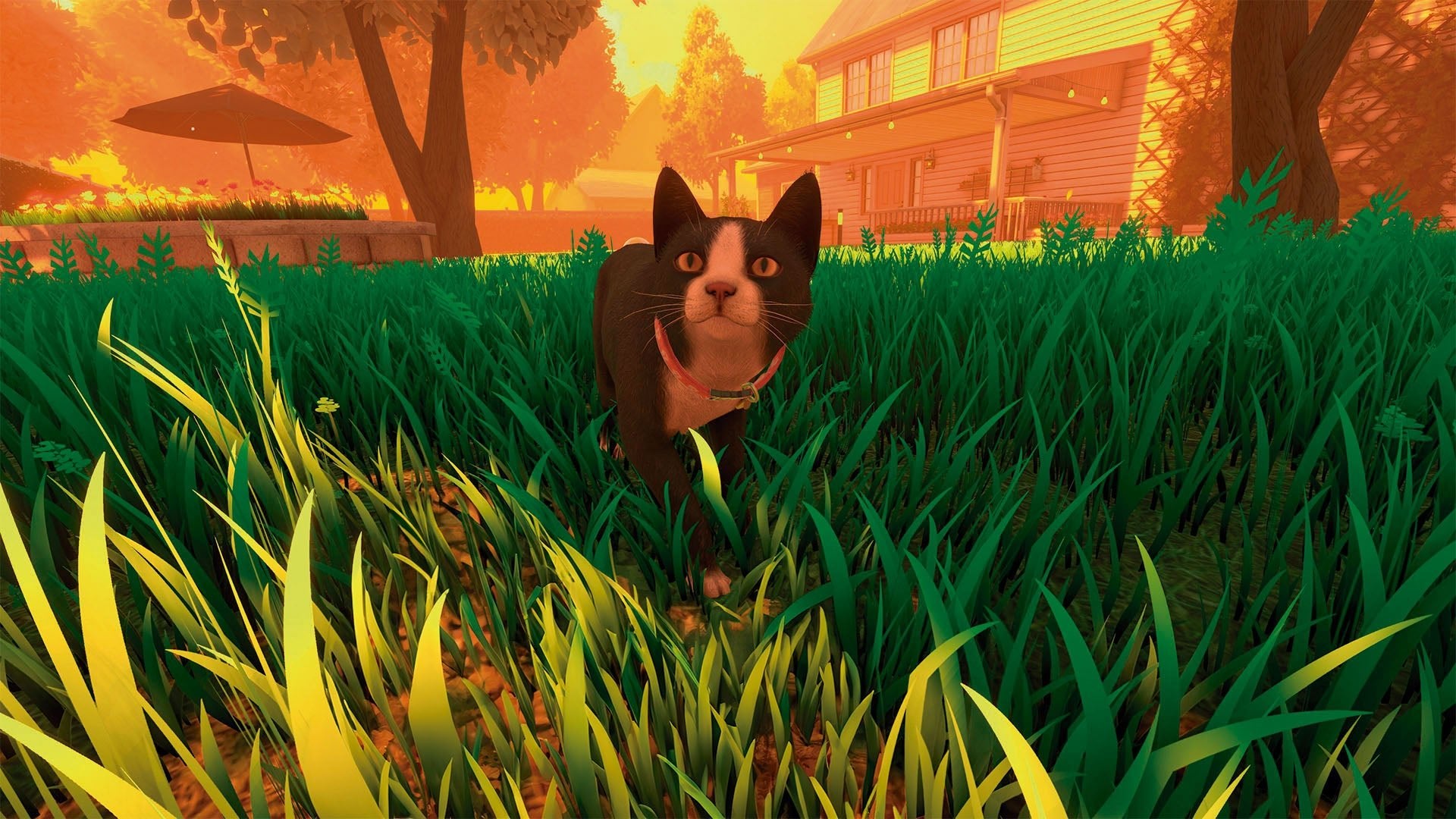 Copycat PS5 - Jeux Vidéo Physique - TESURA - Shop Just for Games