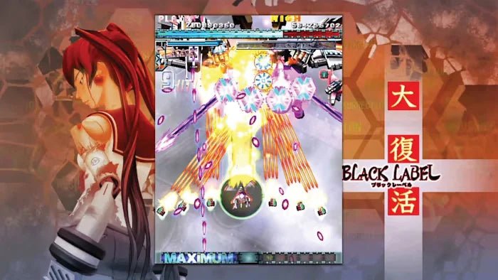 DoDonPachi Resurrection Nintendo Switch - Jeux Vidéo Physique - Clear River Games - Shop Just for Games