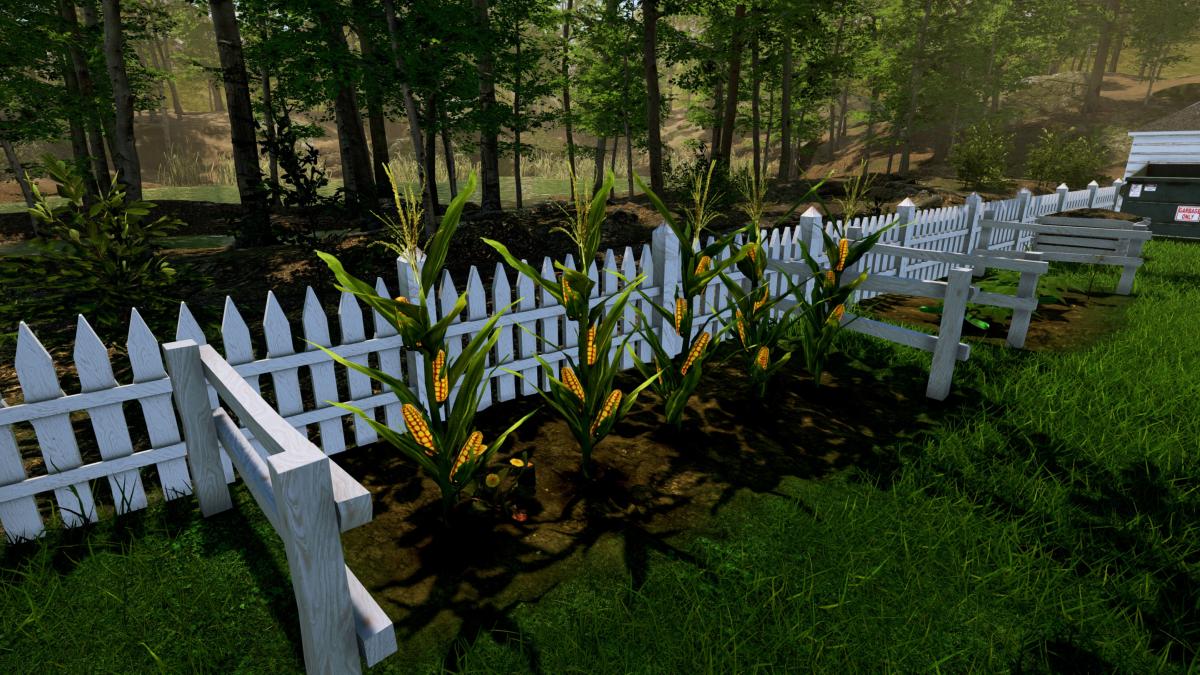 Garden Simulator Nintendo SWITCH - Jeux Vidéo Physique - Just For Games - Shop Just for Games