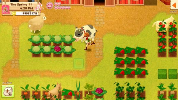 Harvest Moon Nintendo Switch - Main Image
