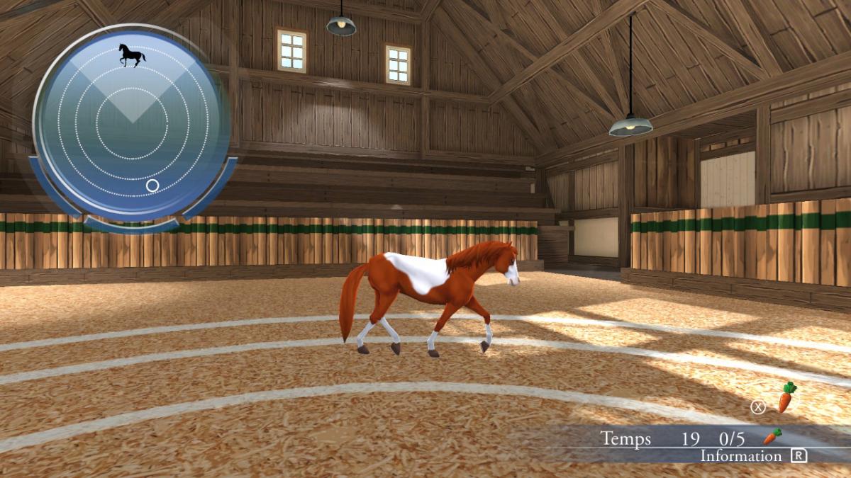Ma vie avec Les Chevaux 2 Switch - Jeux Vidéo Physique - MINDSCAPE - Shop Just for Games