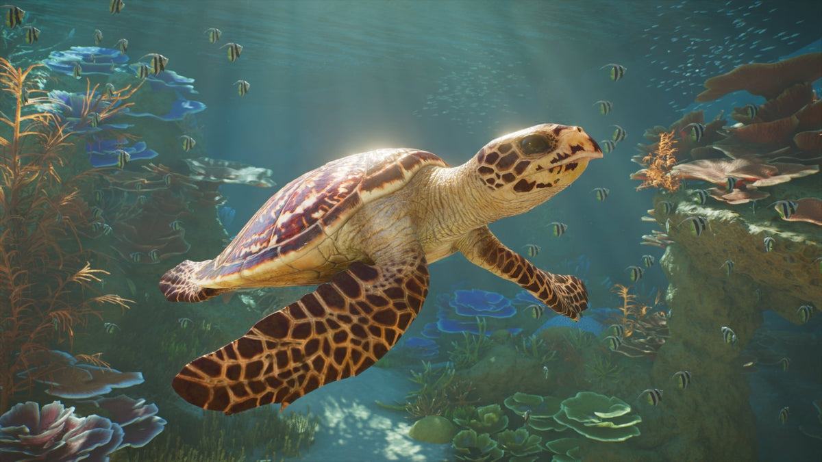Planet Zoo 2 Xbox Series X - Jeux Vidéo Physique - Fireshine - Shop Just for Games