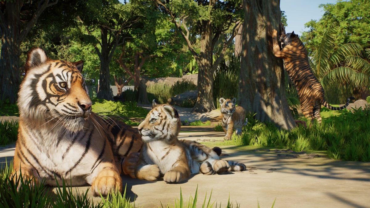 Planet Zoo 2 Xbox Series X - Jeux Vidéo Physique - Fireshine - Shop Just for Games