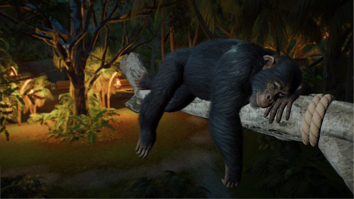 Planet Zoo 2 Xbox Series X - Jeux Vidéo Physique - Fireshine - Shop Just for Games