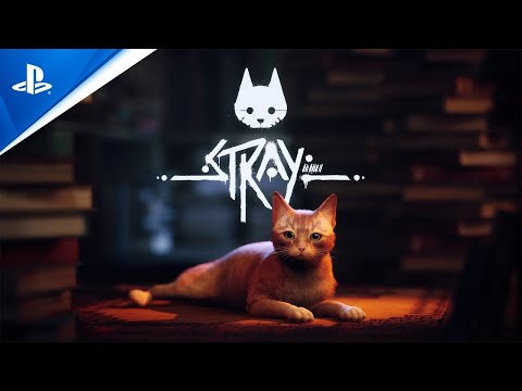 Stray PS5