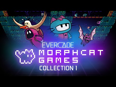 Blaze Evercade - Namco Collection 1 - Cartouche n° 02 (Epuisé / Sold Out) 