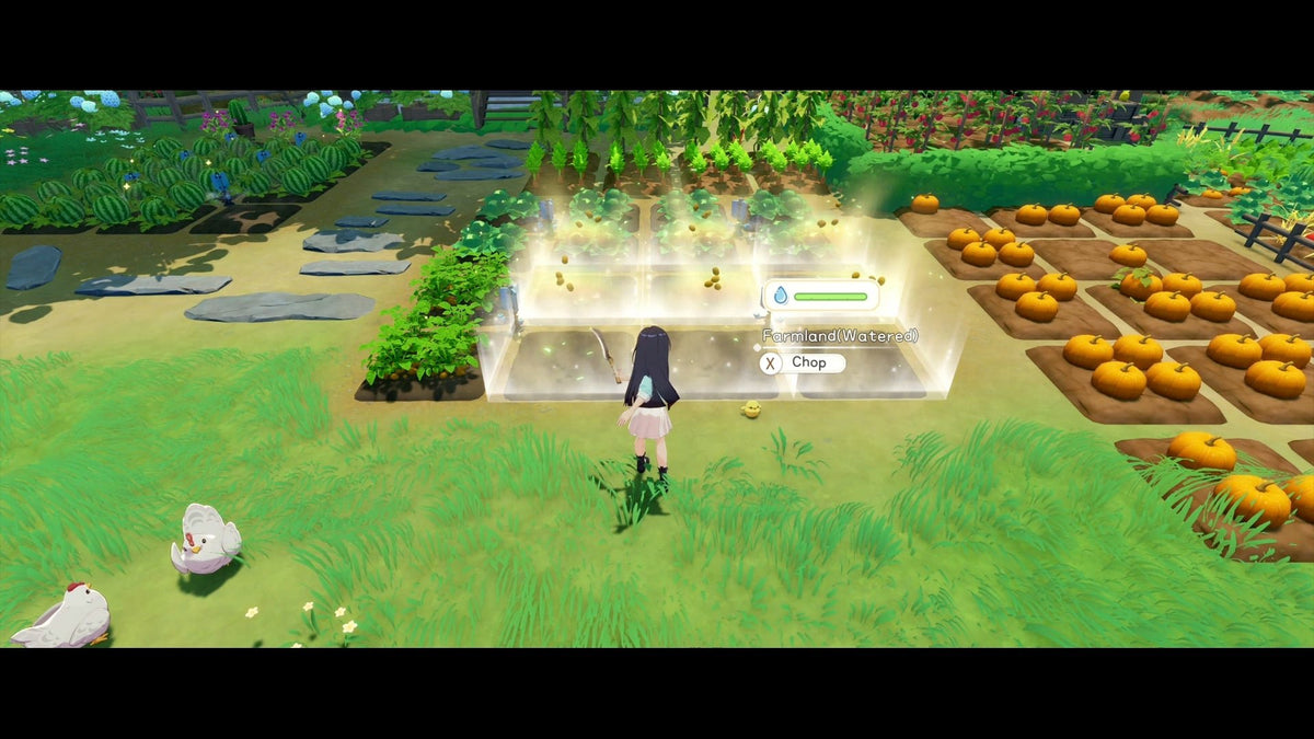Starsand Island PS5 - Jeux Vidéo Physique - UIE - Shop Just for Games