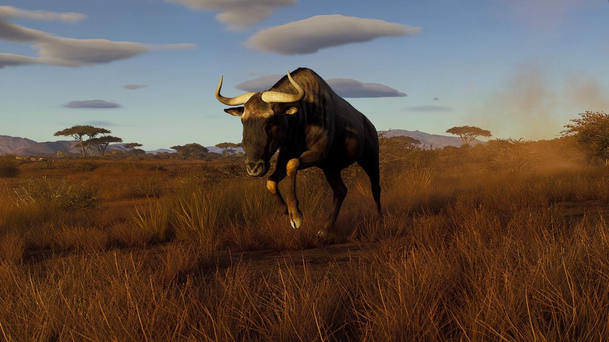 Way of the Hunter Season One Xbox Series X - Jeux Vidéo Physique - THQ NORDIC GAMES - Shop Just for Games